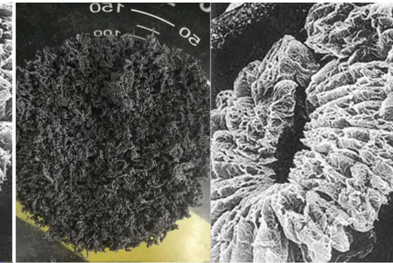 Κατασκευαστής +80 πλέγμα +100 της Κίνας φυσικός επεκταθείς γραφίτης άνθρακα 98% πλέγματος υψηλός που χρησιμοποιείται στα μηχανήματα